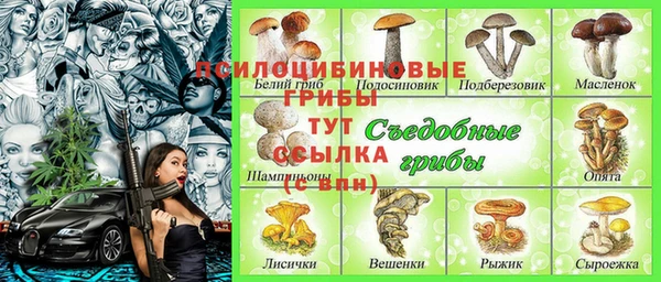 меф Бородино