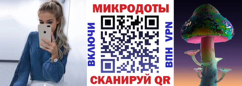 Купить закладки  Краснозаводск  Псилоцибиновые грибы GOLDEN TEACHER 
